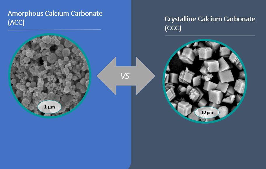 Nano Particles: The difference between micro particles calcium and nano particles calcium is much larger than size.