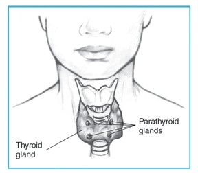 Hypothyroidism, What are the causes and how can it be treated