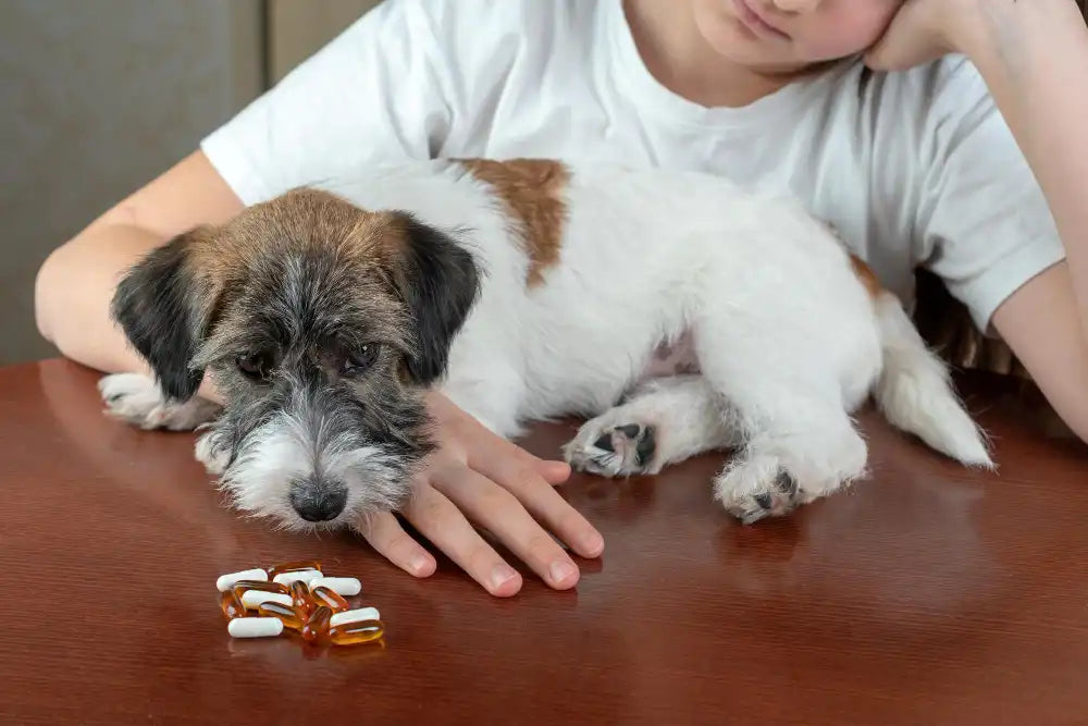 Can I Give My Dog Human Calcium Tablets?